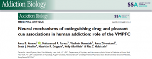 Cocaína - Addiction Biology